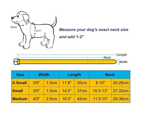 medium size dog collar size.